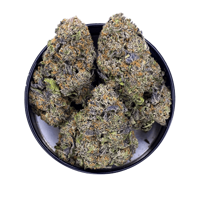 Bulk weed delivery options for premium marijuana in the Greater Toronto Area.