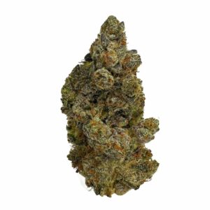 Royal Wedding cannabis strain showcasing dense, trichome-covered buds with a sweet and fruity aroma." "Close-up of Royal Wedding weed highlighting its purple hues and frosty resin." "High-THC Royal Wedding strain, perfect for relaxation and stress relief."