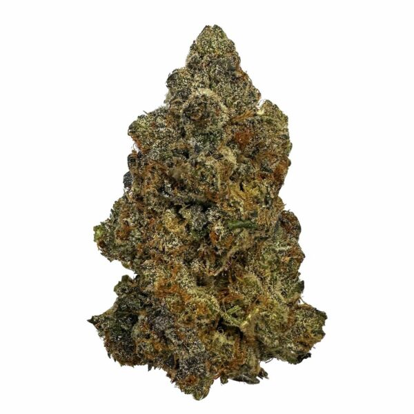 "Royal Wedding cannabis strain showcasing dense, trichome-covered buds with a sweet and fruity aroma."