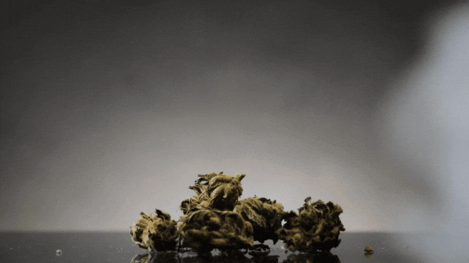 Kurupt's Moon rock AAAA+