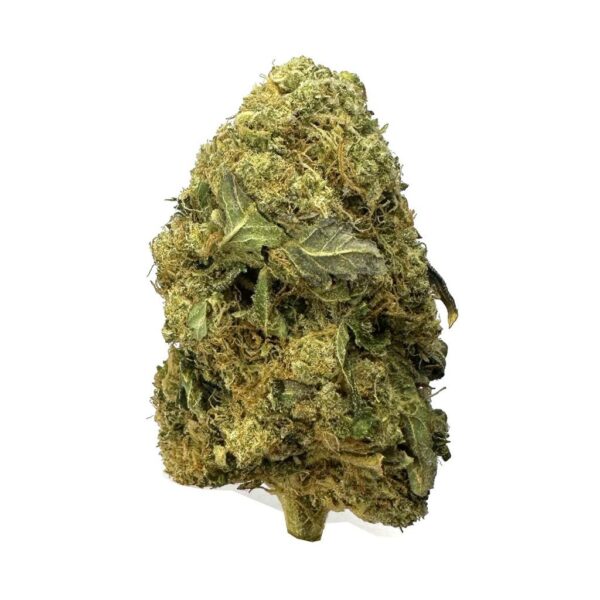 Tropical mango-flavored Do-Si-Mango strain, with dense buds covered in trichomes and earthy pine notes."