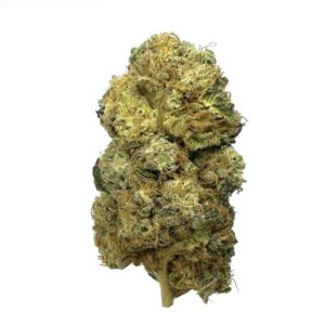 Tropical mango-flavored Do-Si-Mango strain, with dense buds covered in trichomes and earthy pine notes."