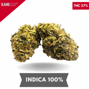 Big Zerm - 6ixotics AAAA Medium