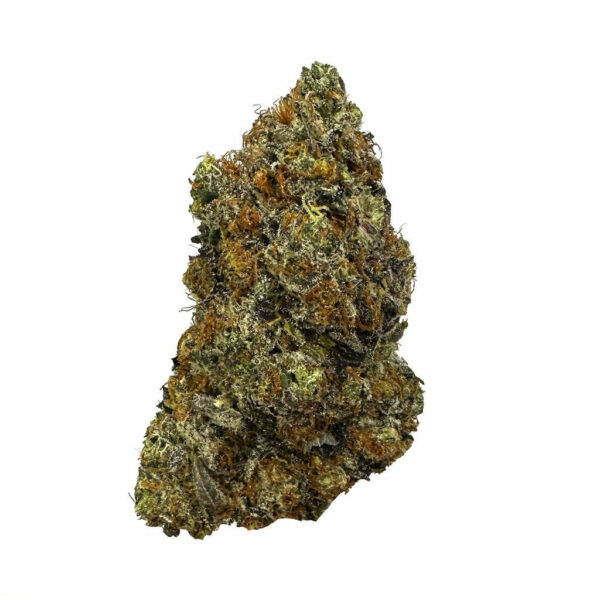 Iceman Strain in Grinder – Finely ground Iceman cannabis in a grinder, highlighting its sticky, resinous texture.