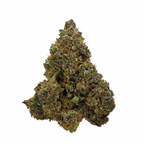 Royal Wedding cannabis strain showcasing dense, trichome-covered buds with a sweet and fruity aroma." "Close-up of Royal Wedding weed highlighting its purple hues and frosty resin." "High-THC Royal Wedding strain, perfect for relaxation and stress relief."