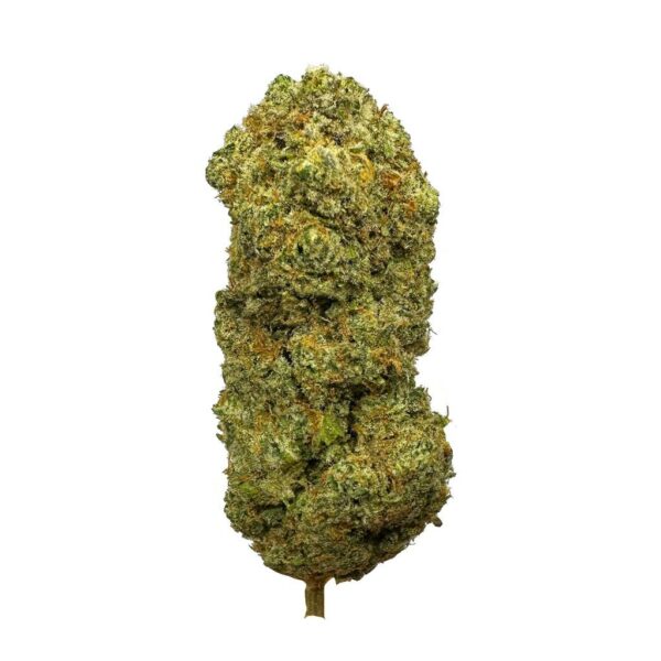 Top-quality sativa-dominant hybrid Lilac Diesel strain available for delivery at KAMIKAZI Weed Delivery in Toronto."