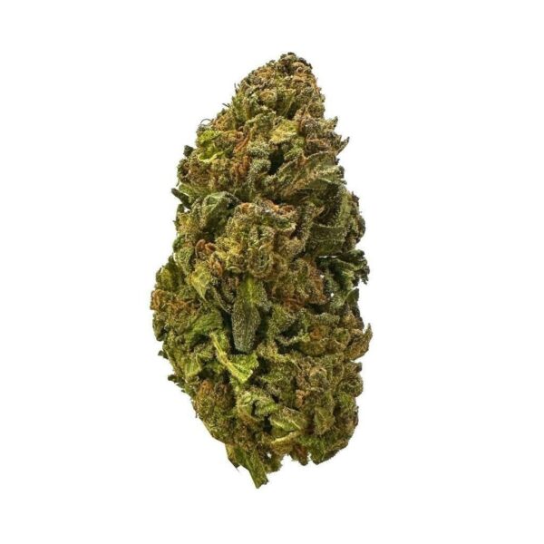 Blackberry Kush strain showcasing its sweet berry aroma and earthy undertones."