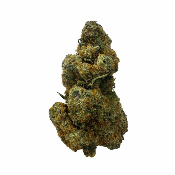 Cherry Cake strain, a sativa-dominant hybrid, available for same-day weed delivery in Toronto." "Sweet and fruity Cherry Cake cannabis buds delivered fresh by KAMIKAZI Weed Delivery."