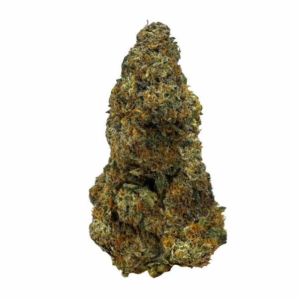 Cherry Cake strain, a sativa-dominant hybrid, available for same-day weed delivery in Toronto." "Sweet and fruity Cherry Cake cannabis buds delivered fresh by KAMIKAZI Weed Delivery."