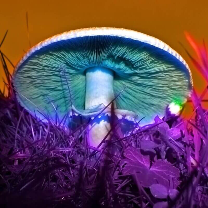 Beige Minimal Photo Marketing Carousel Instagram Post