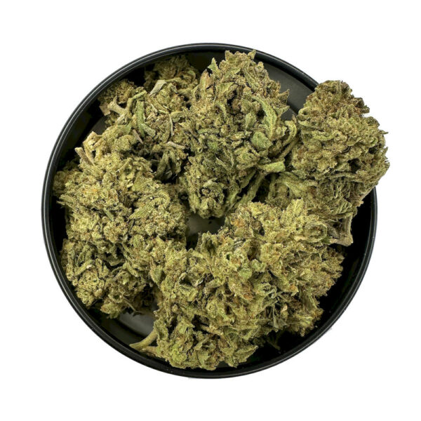 Durban Poison weed flower with energizing effects and sweet licorice flavor Durban Poison strain perfect for daytime focus, productivity, and mental clarity