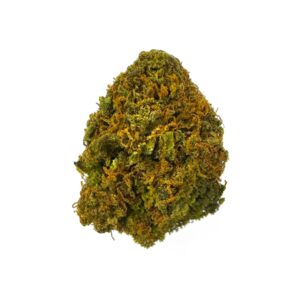 Orange Crush cannabis buds displaying vibrant green hues and orange pistils