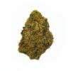 Close-up of Orange Crush strain highlighting frosty trichomes and dense structure