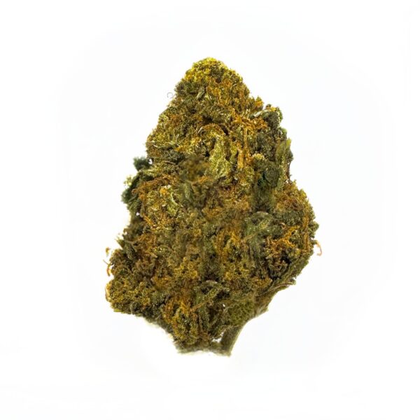 Close-up of Orange Crush strain highlighting frosty trichomes and dense structure
