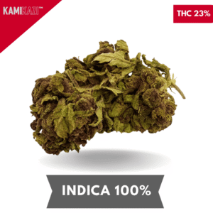 Northern Lights AA+ 3 Oz Deal