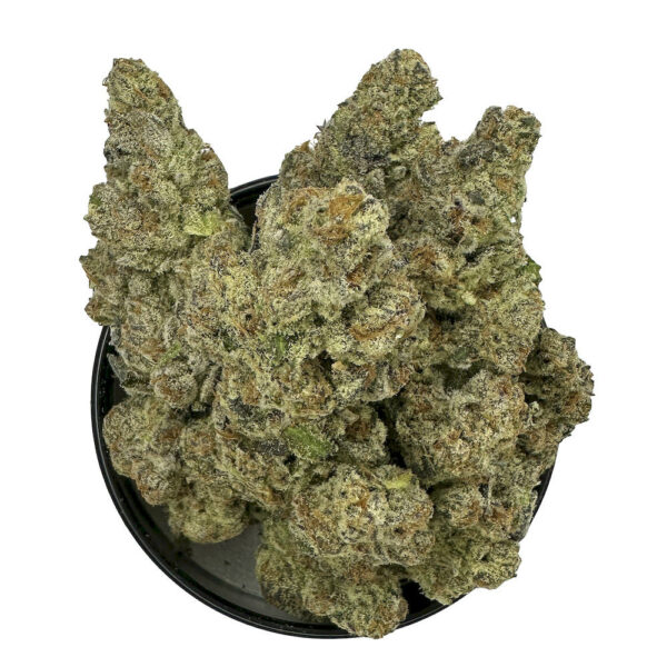 A sativa-dominant hybrid with sweet berry flavor, uplifting cerebral effects, and all-day mental clarity. Perfect for focus, creativity, and stress relief.
