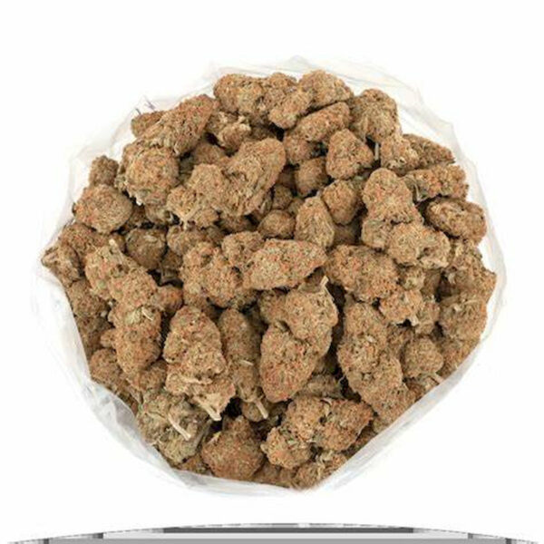 "Orange Crush cannabis buds displaying vibrant green hues and orange pistils" "Close-up of Orange Crush strain highlighting frosty trichomes and dense structure" "Orange Crush marijuana flower with citrus aroma and uplifting effects" "Sativa-dominant Orange Crush strain ideal for daytime use and creativity"