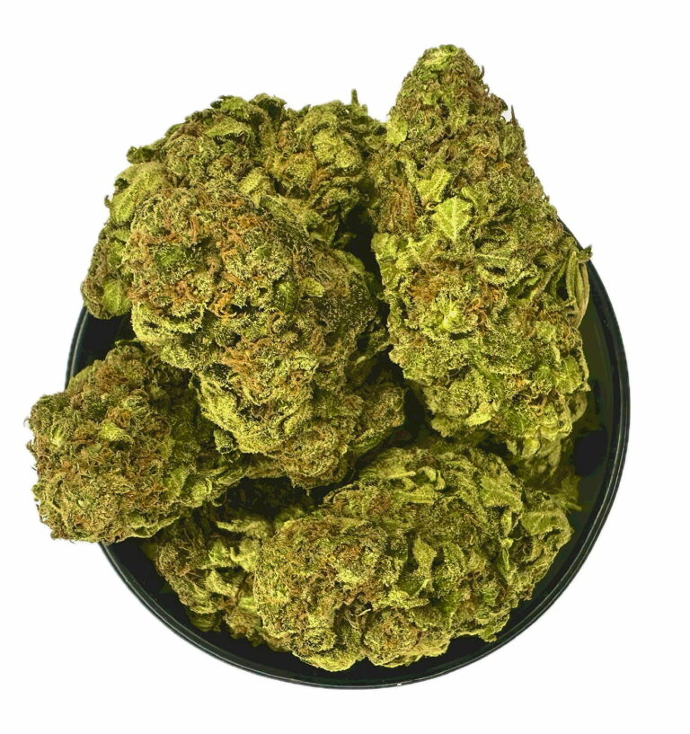 Jack Herer sativa-dominant buds with bright pistils