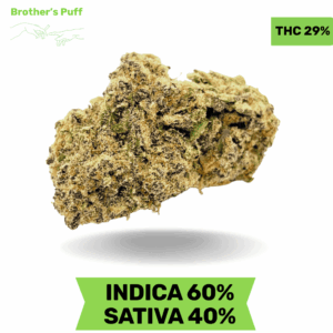 Girl Scout Cookies GSC AAAA