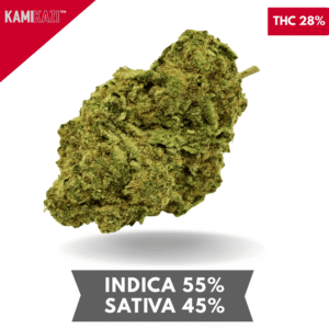 LSD Cannabis strain AAA+