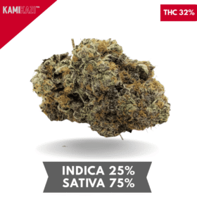 Strawberry Shortcake AAAA+