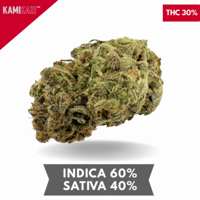 Vanilla Cream Pie AAAA+