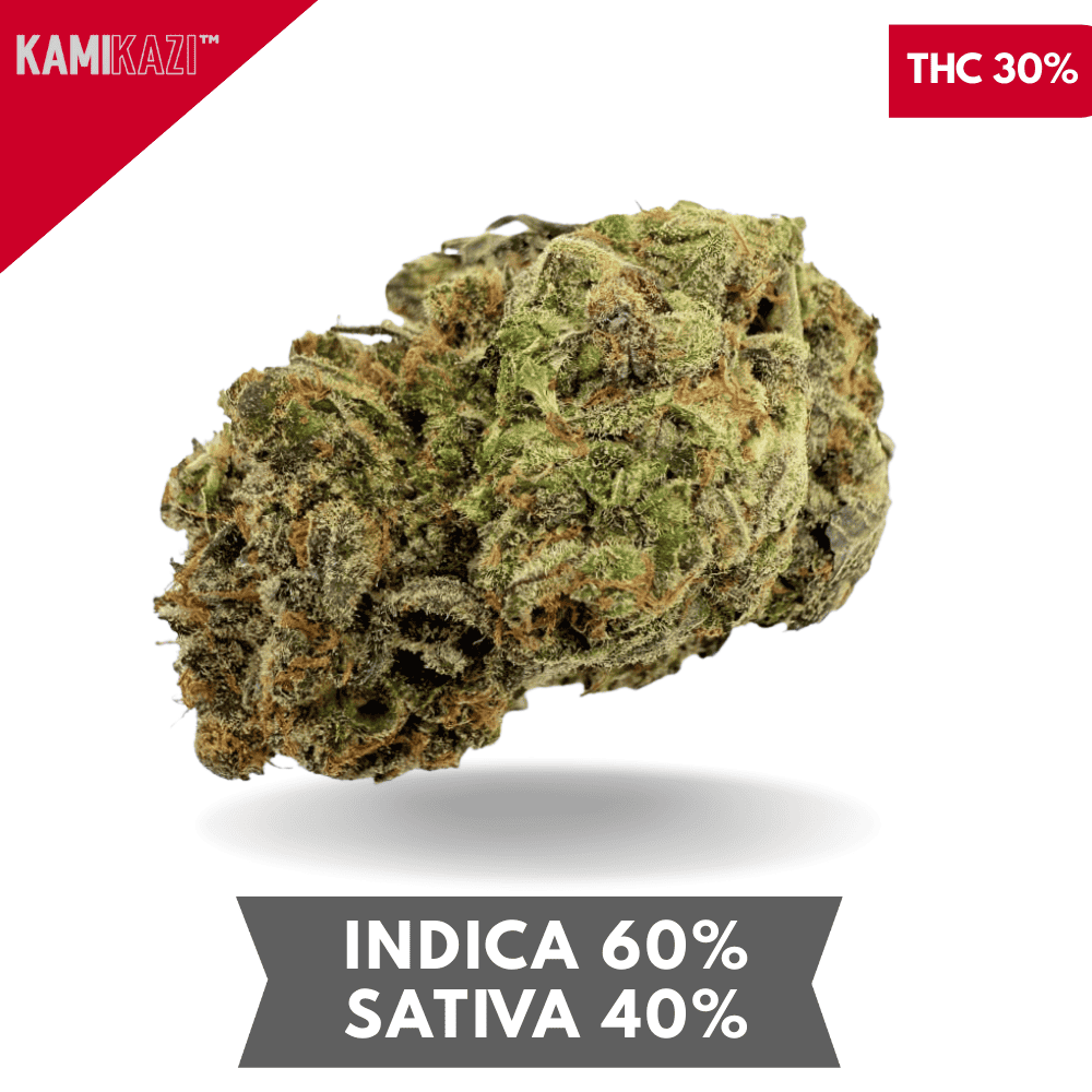 Vanilla Cream Pie AAAA+