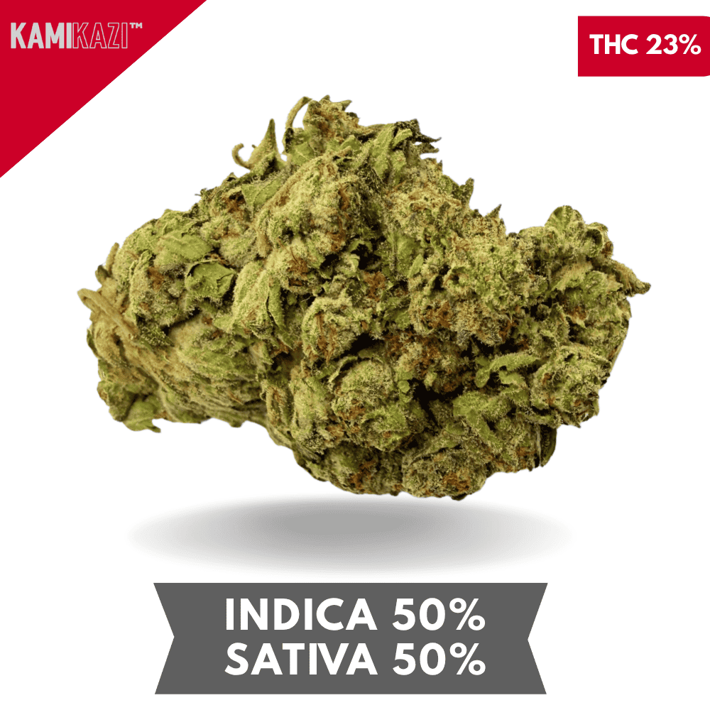 Cream Puff AAA Cream Puff AAA