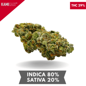 Organic Garry El Jeffe AAAA