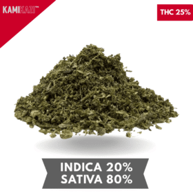 Spring Sativa Mix LIMITED QUANTITY