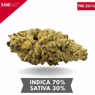 Purple Sour Diesel AAA