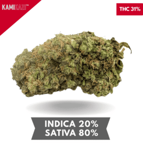 Strawberry Trainwreck AAAA+ Sativa