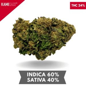 Gorilla Glue AAA+ 3oZ. for $120