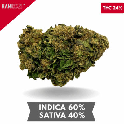 Gorilla Glue AAA+ 3oZ. for $120