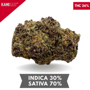 Purple Lemonade Haze AAA+
