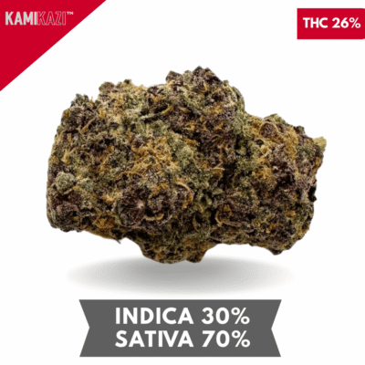 Purple Lemonade Haze AAA+
