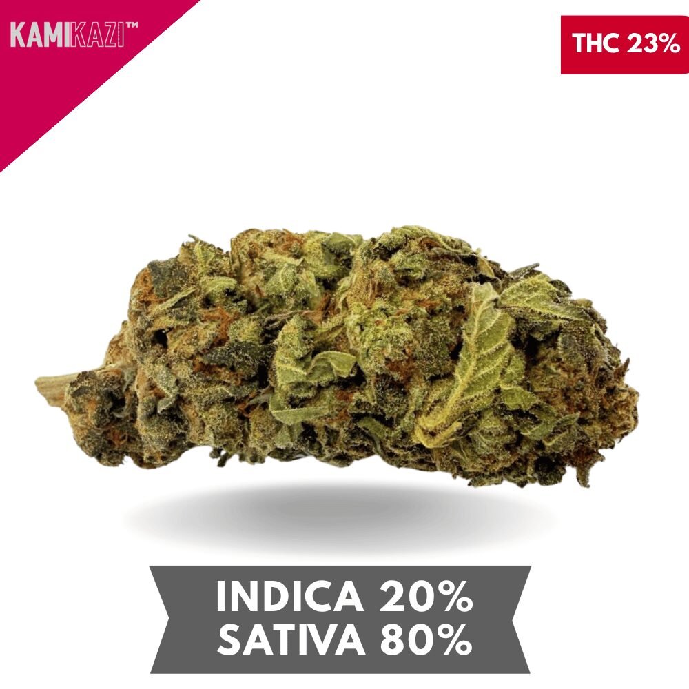 Great White Shark AAA 3.oZ Deal