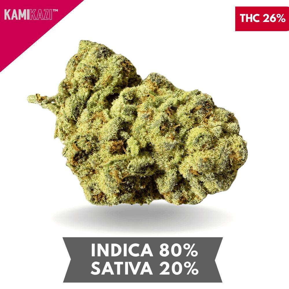 Afgoo OG AAA