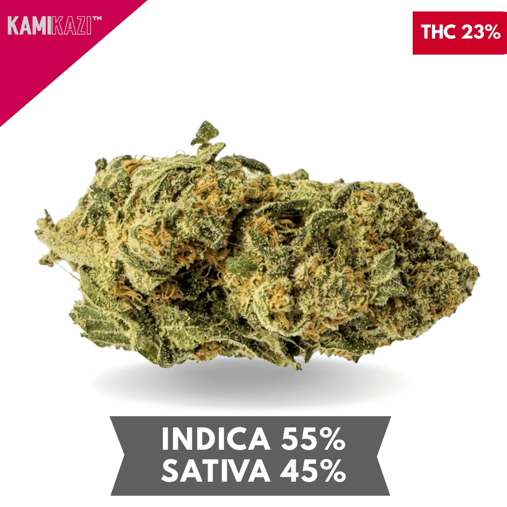 Chemdawg AAA+