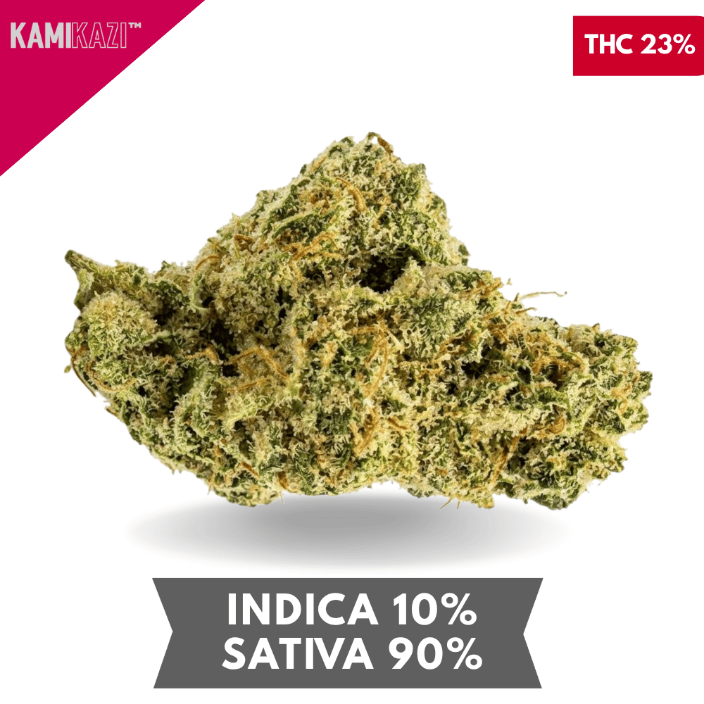 Sour Diesel AAA+